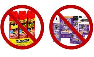 The Truth Spy App Download Iphone